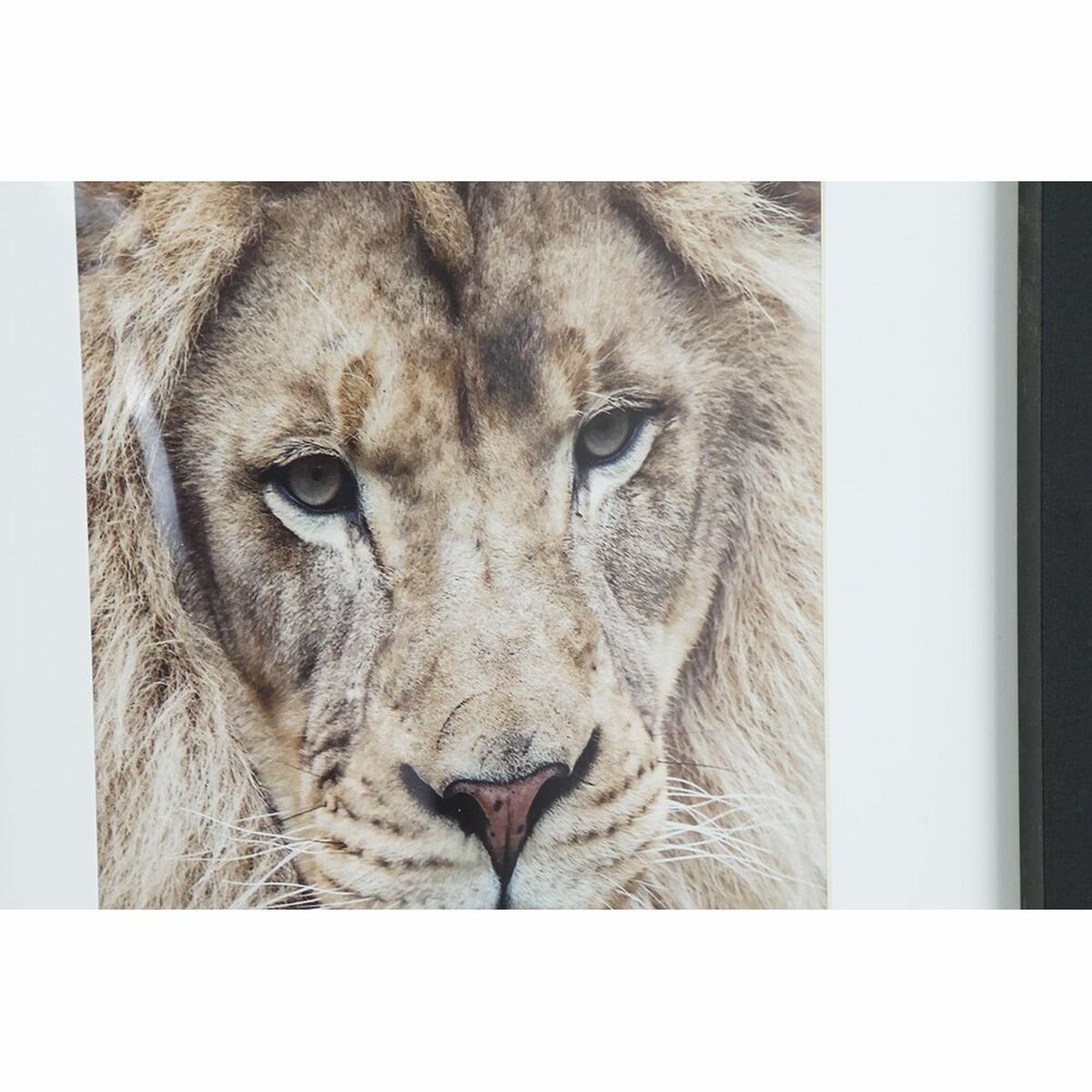 V12H39A1CDABC82176482FAA170CD3BC2FA3R6374200P2