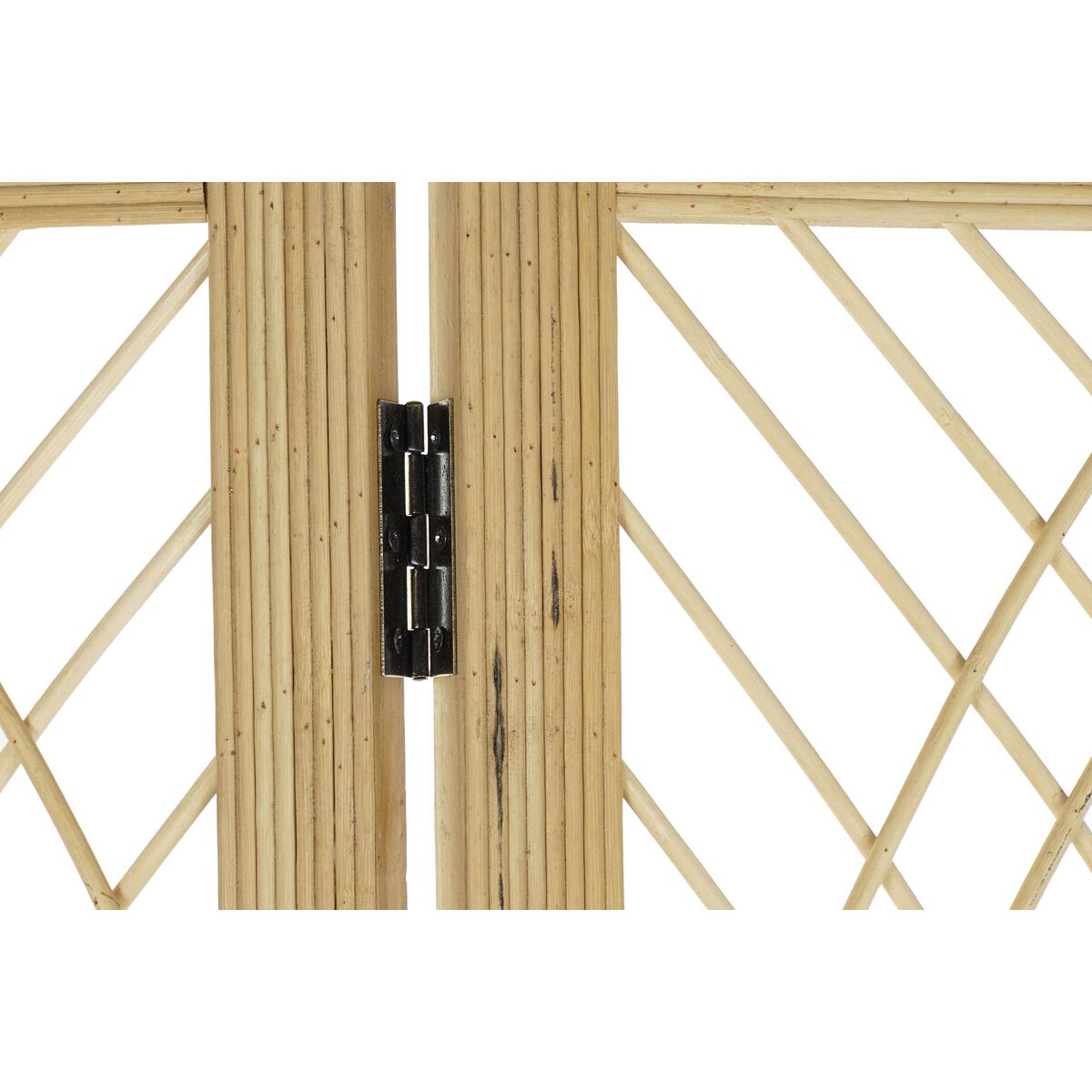 V11H0169D784163FC78AA52A3D54662B5919R6364819P3