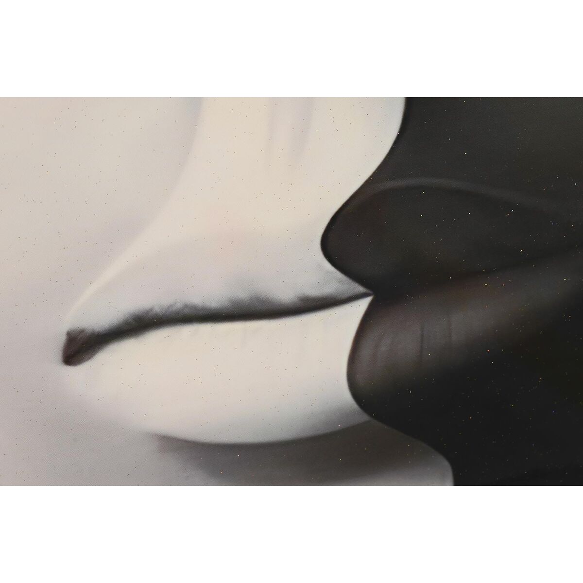 V10H4B8B0FE8BFDD611C4D6D541D060C4497R7484875P3