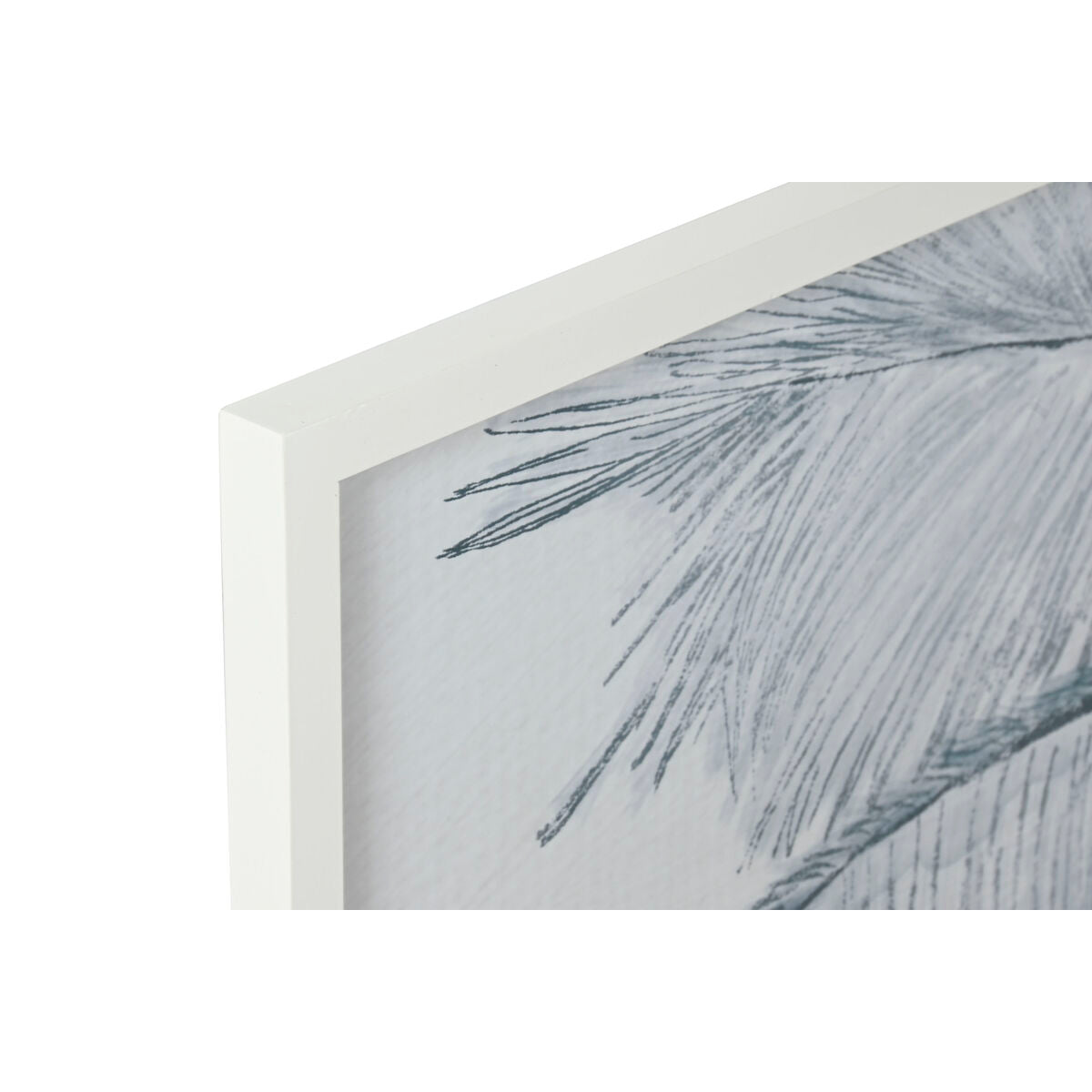 V8H054237AAD7CCF050AE51EDC46C1C2E6ER6372685P2