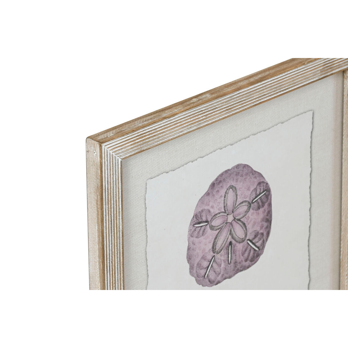 V8H5692630D8F0D9BF0B2E86F79007C859CR6372716P2