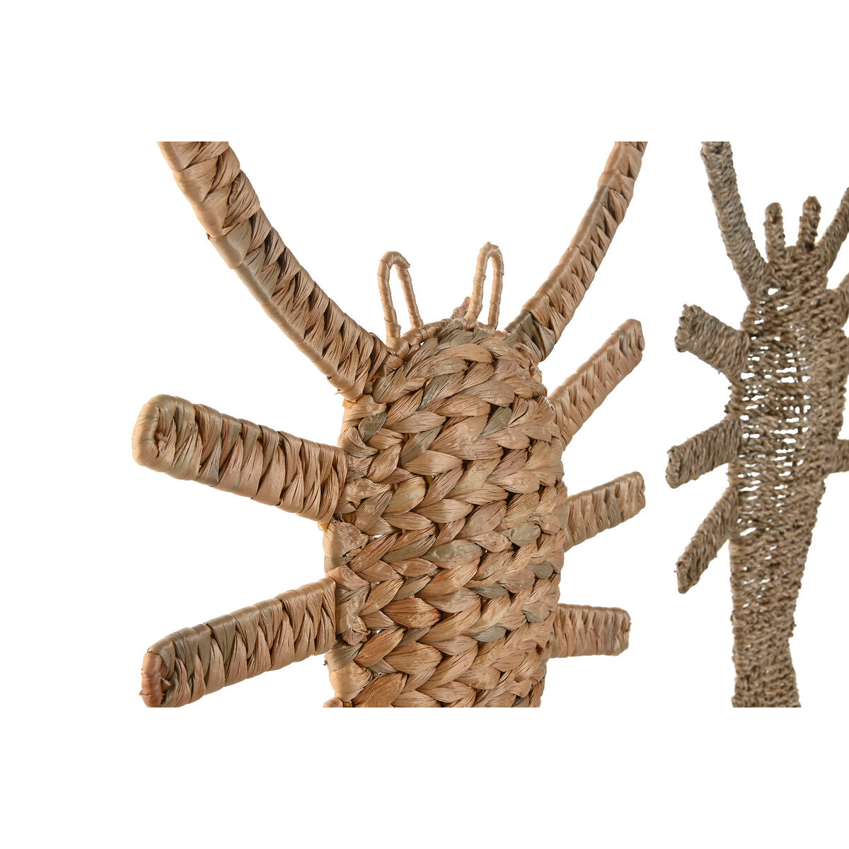 V2H4E9F83EFAFB439E1A9F6A111261592ABR7806754P2