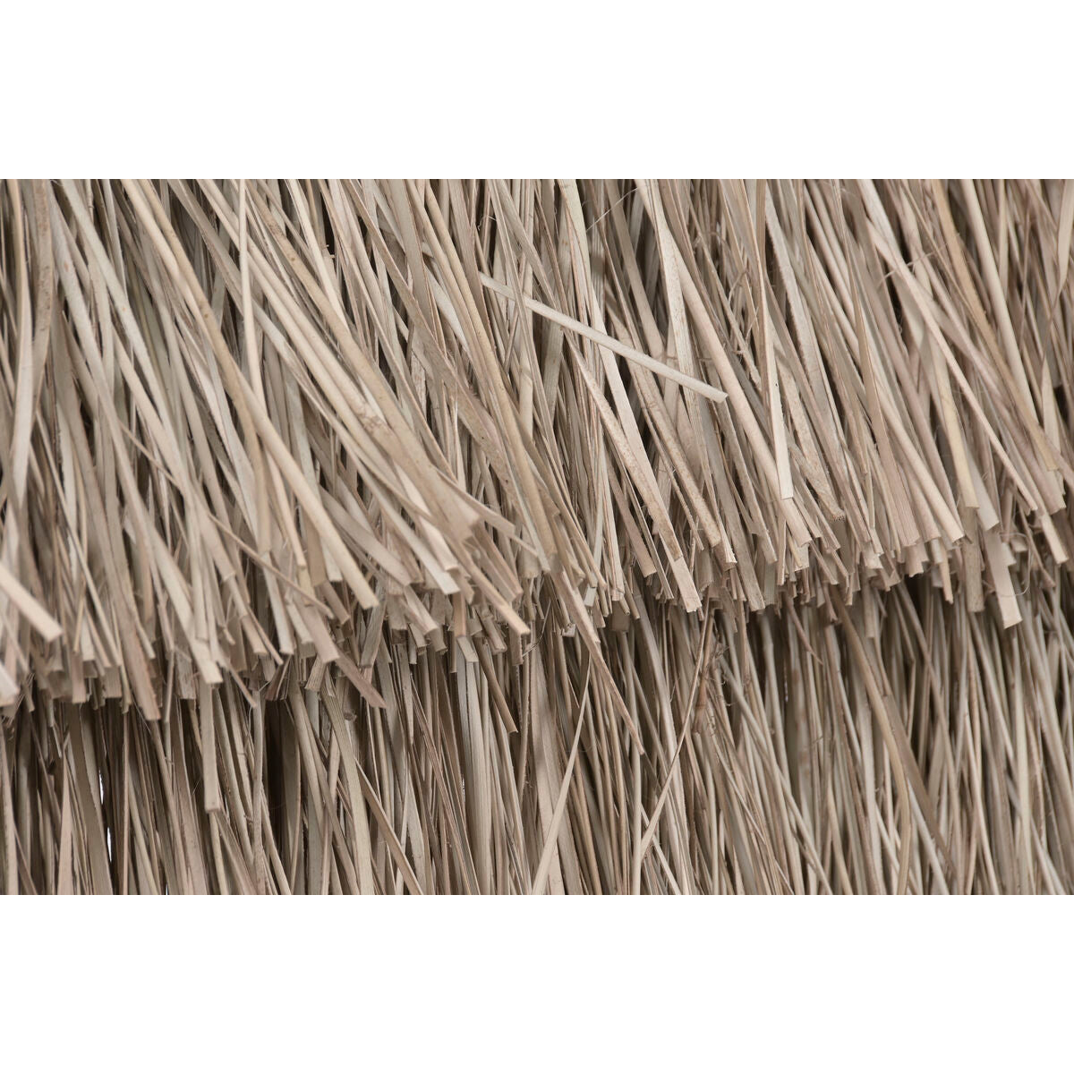 V3HA7EE06FDA06843A0FD0F3333A5AF4B37R7472297P8