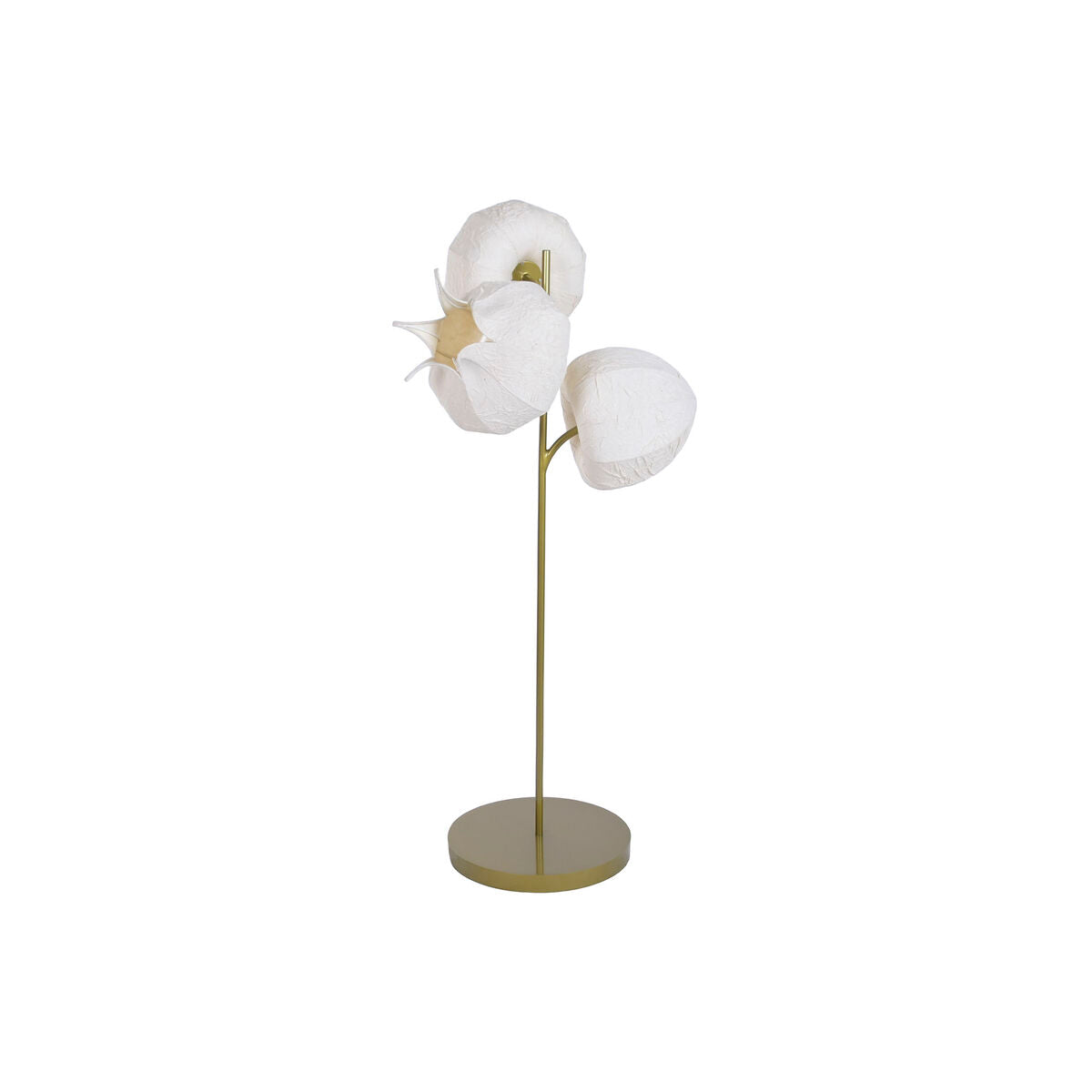 V2H10F9C680E7B0A5A84CE04D57B8091C8BR7810915P1