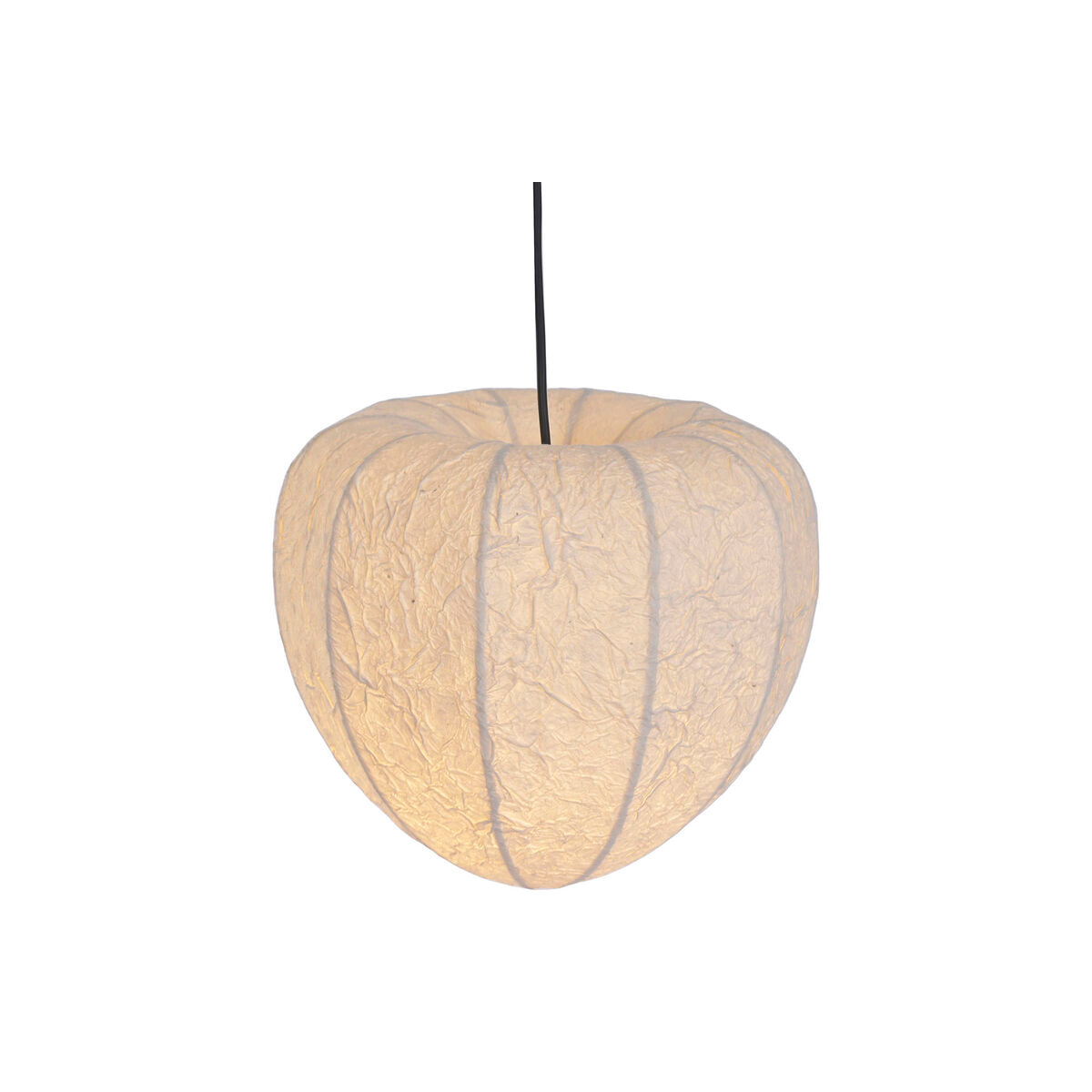 V2H08CB2D6475E55114A57CE22C88024C47R7811059P2