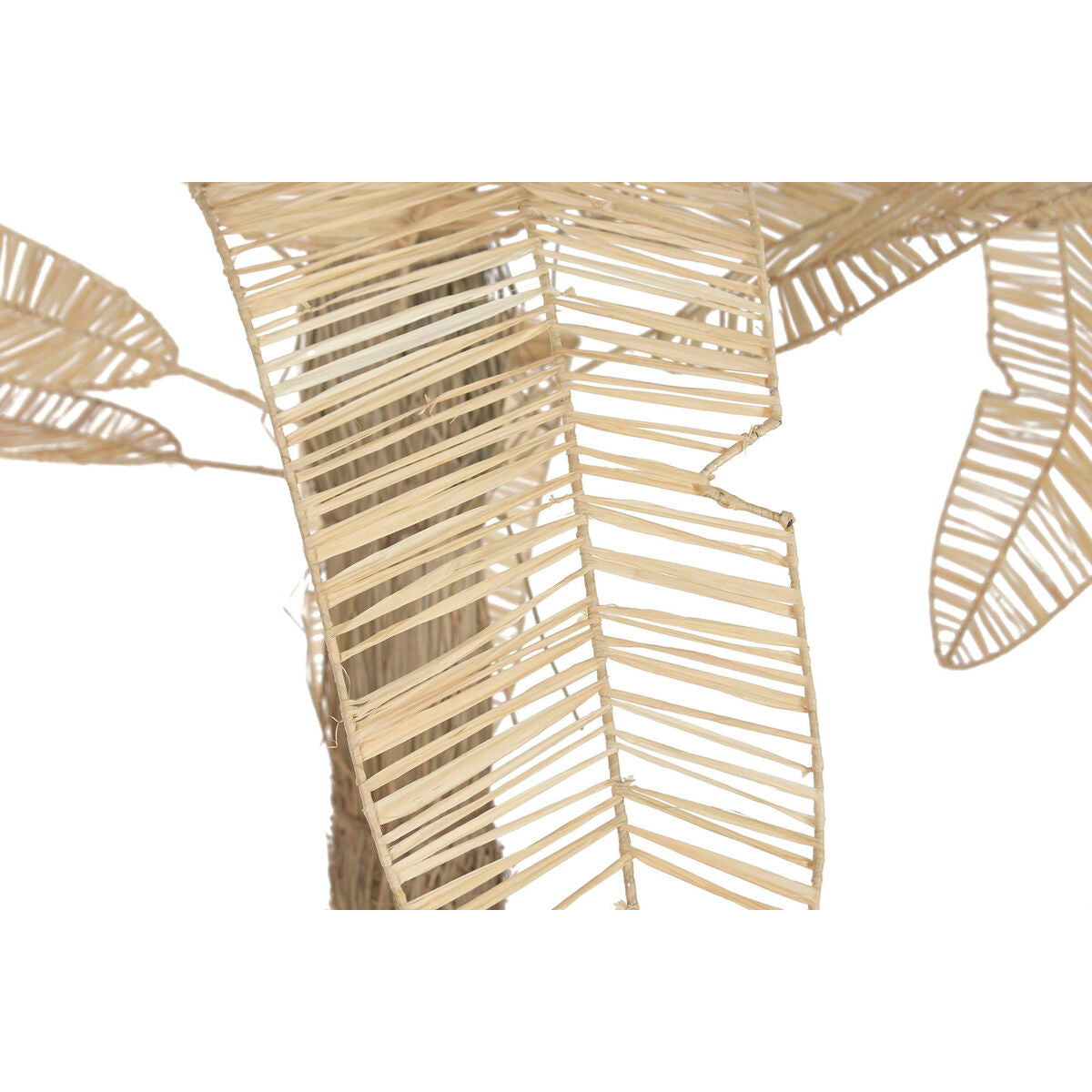 V2HDC38539A1C9622B36F97E9B11C2F98B3R7806894P2