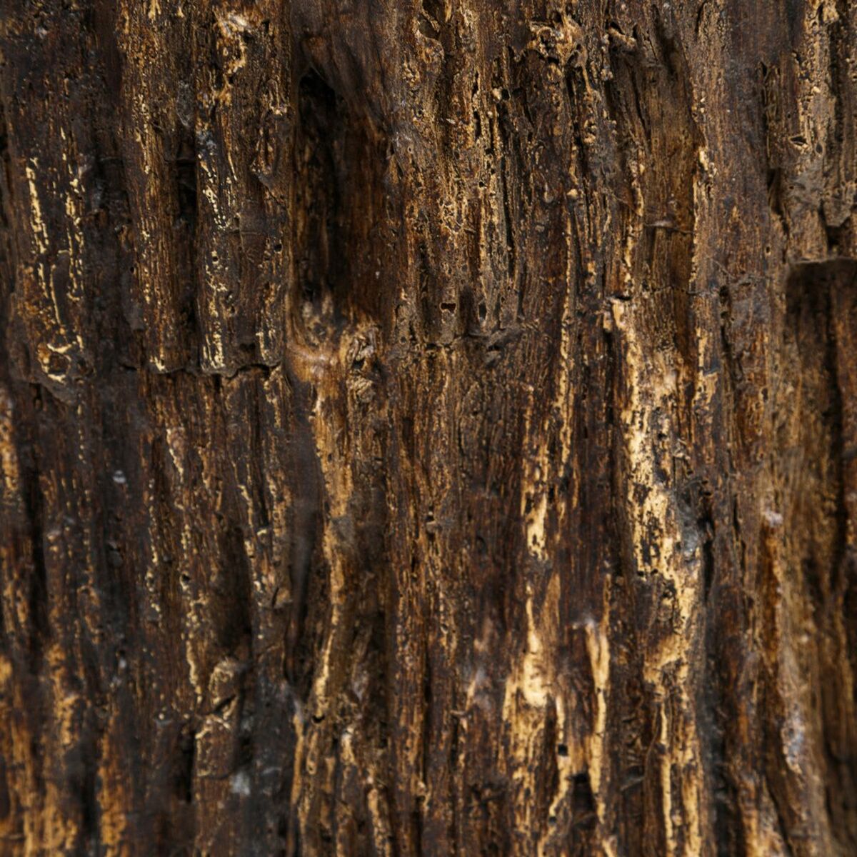 V6HE76A7ABC8D060CB66ACE497260E6709CR5018628P3