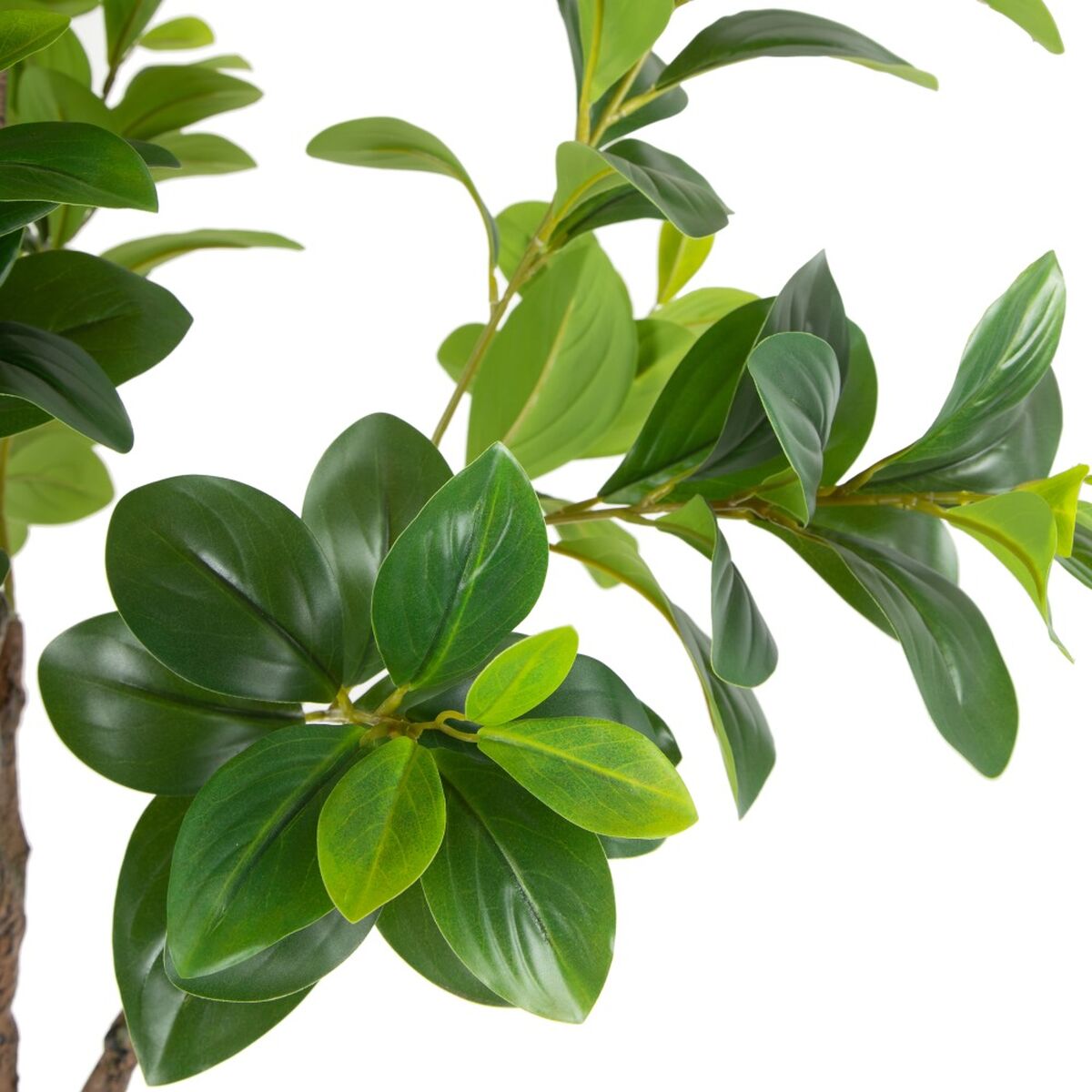 V7HCF1DF77B3FD93AE4036CA0AC6452BD9ER4805122P2