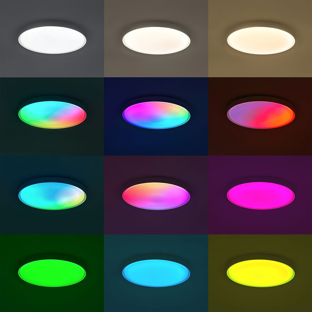 V4H56A97C64F1A2437D318B6EAF85A76B61R7163081P7