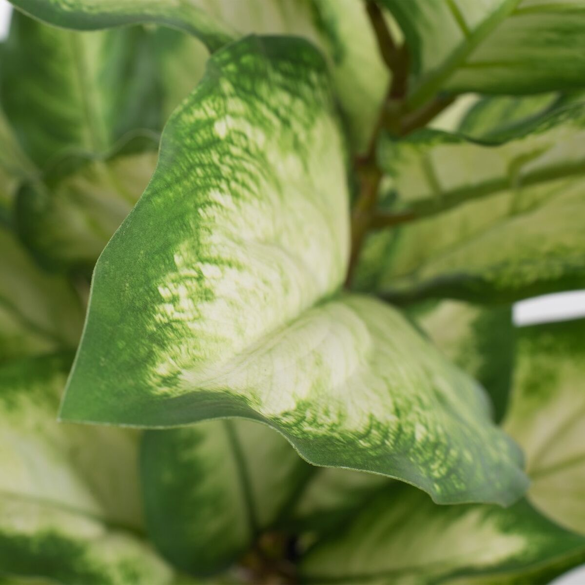 V3HD7E30374C6665757B55E46E774BA56B1R3676938P3