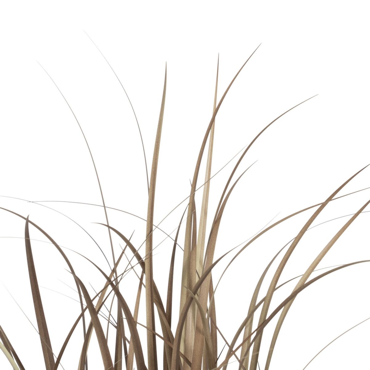 V7H6AA6CE5F868817B66A165BA1BD0C335AR3676931P5