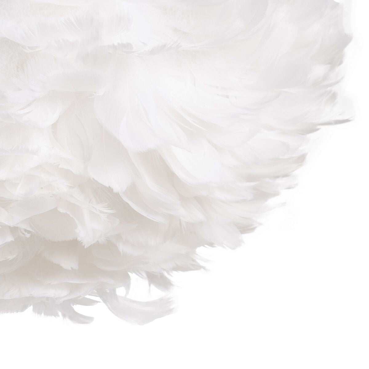 V5H2CDD67E88510CA95434DFE44DD4B0172R4602655P2