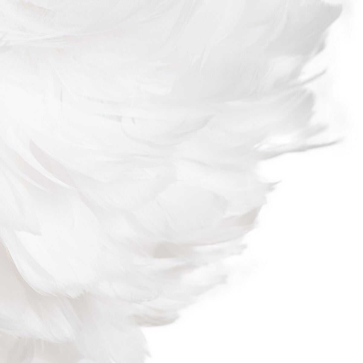 V5H0375CD6F899CCD6A9E9C427402C43D85R4602659P5