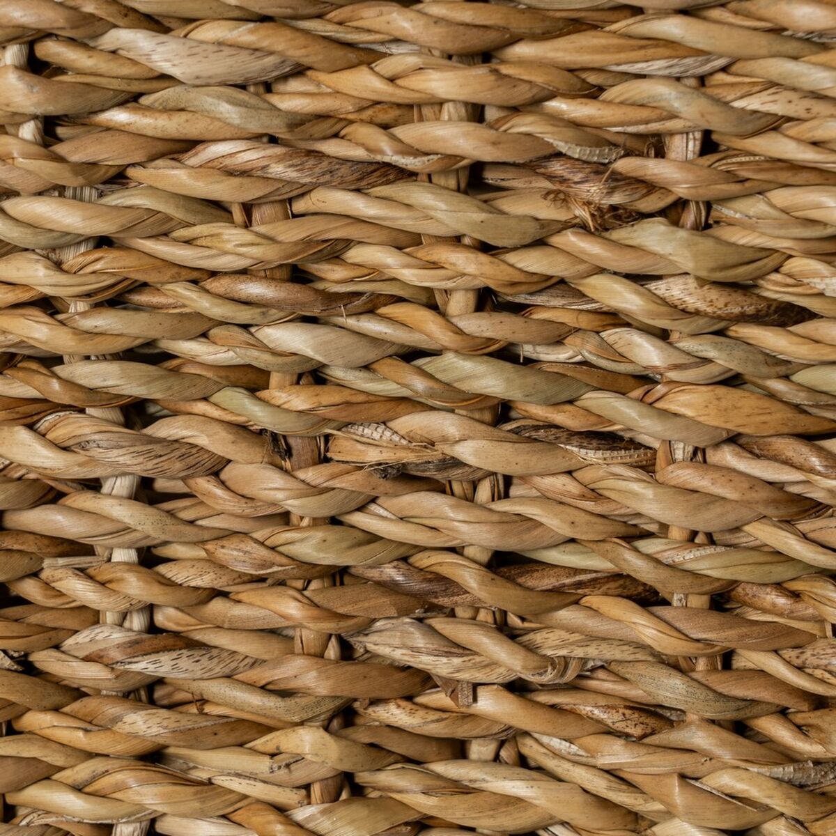 V6HDD0D6909B09B3D9FF00C9D53A25AA323R5480757P5