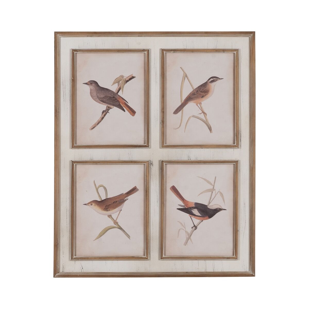 V5H51B204FB905A37093B0A5C65CBEA98ABR5370549P1