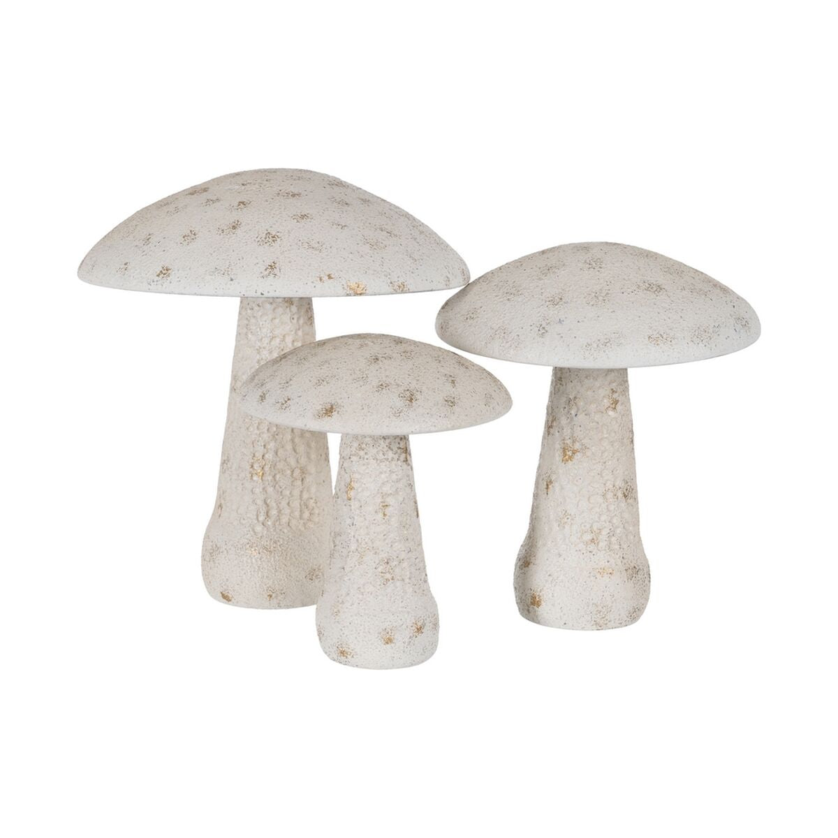 V6H5F93B75088D71F6DFBEE43817AE59CBBR5353242P2