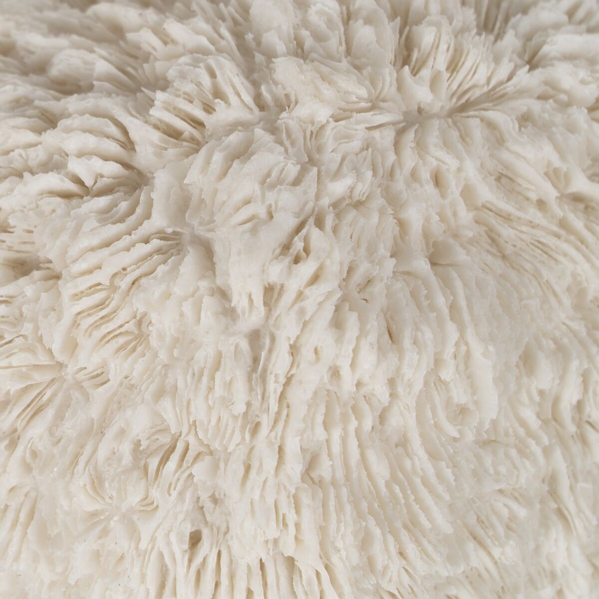 V5H59F2D133633D80E05D65BFEBE0A93E96R5352784P2