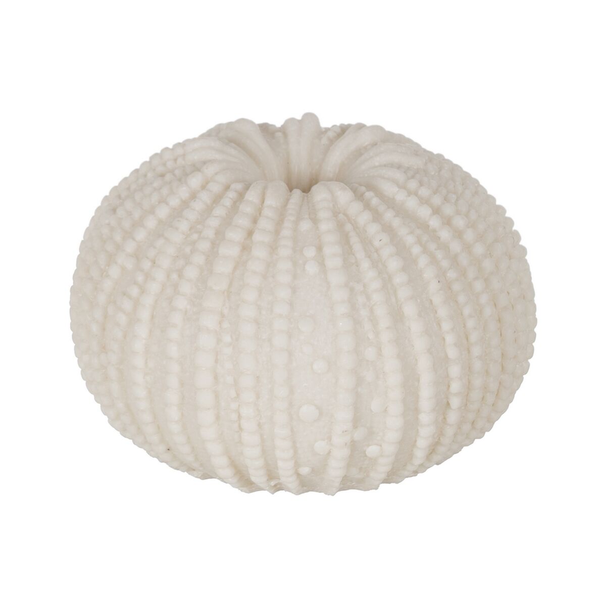 V5H7E144C7364A6E44EF19465F7042F00C2R5352852P1