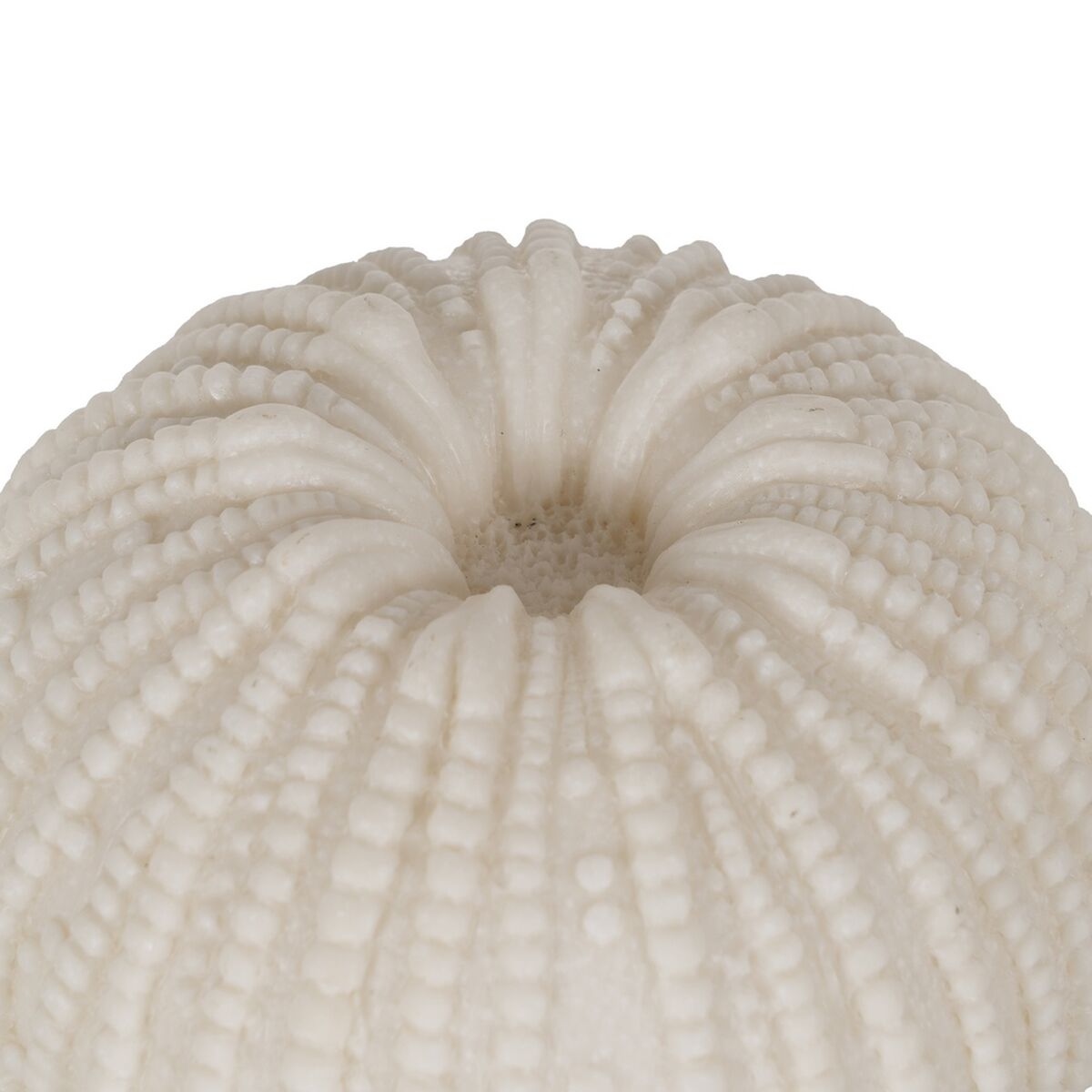 V5HD96DB60FC2C5608222F6681F5312C8C0R5352855P2