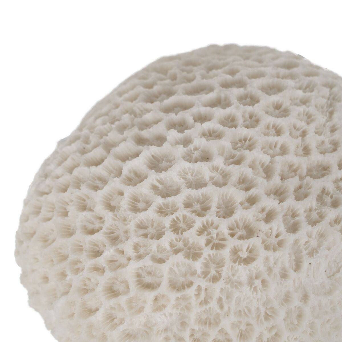 V5HEF3735654CEF1BFE01FE04941A076086R5352843P2