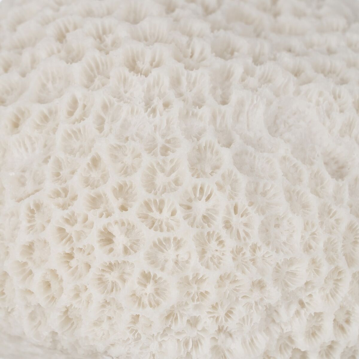 V5H138FEF0A9FB1D9D47E2CBB5401E1B8B1R5352847P4