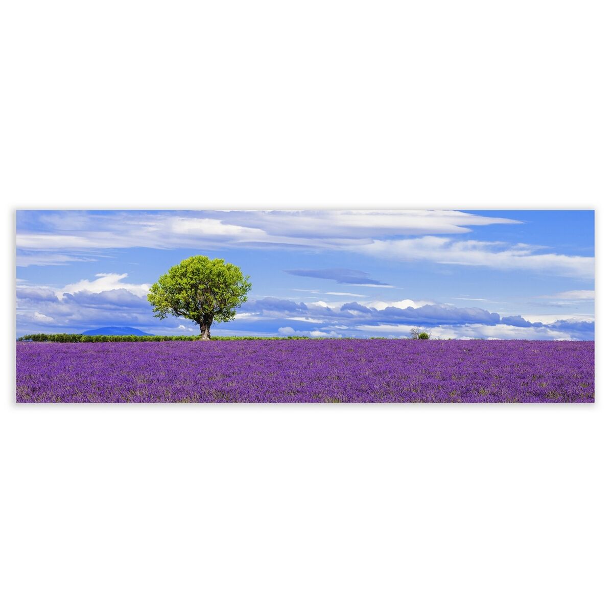 V10HB4E378EE89D6910A966922C21CC65054R6625471P1