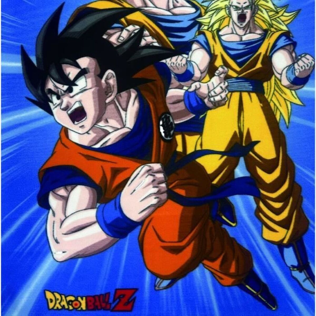 V4HAD63B27254D6BDD459097BD89351E5ECR7438270P2