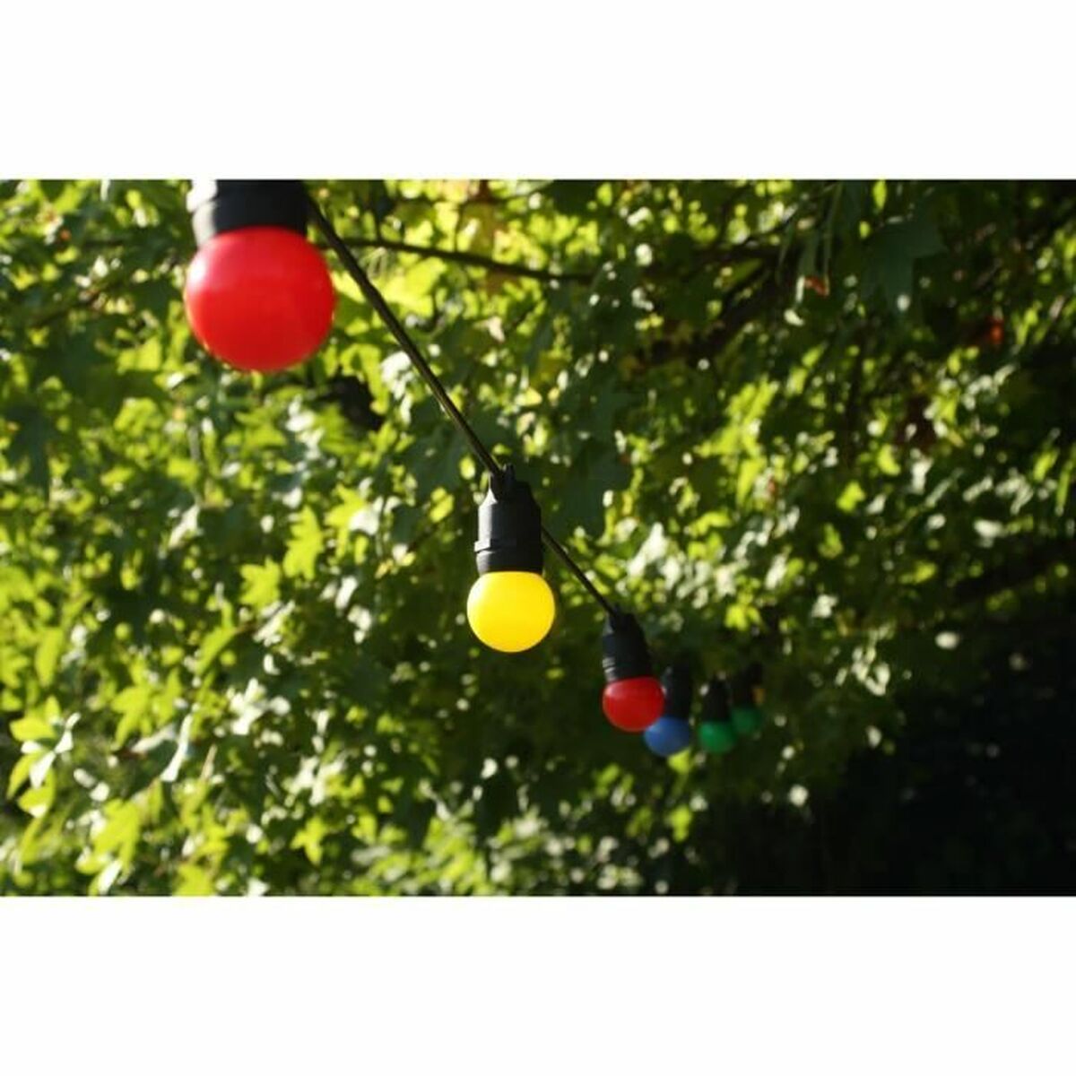 V3H8A97412CEBD38C9701869D08E137B911R7327697P5