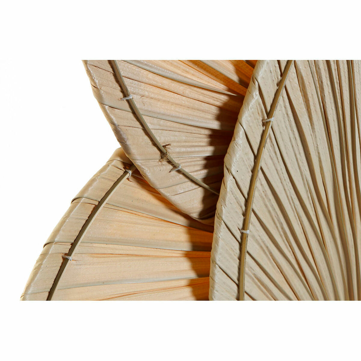 V6H049C1A3B6BA3E44E9B50A309A3604D89R4664257P2