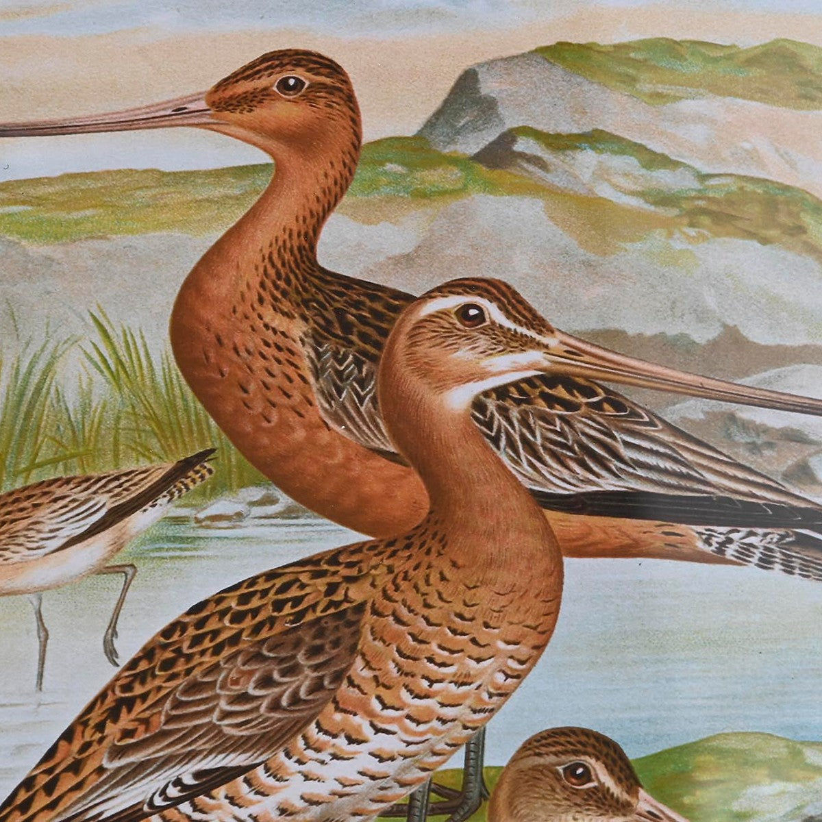 V8HC8A5FC5F3D2B0E6254070CD040FF5566R6372577P3