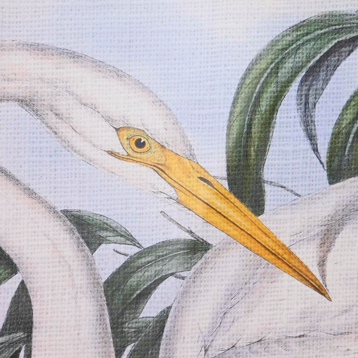 V11HF1D53B564F3B6131FA6561A9693D2333R6372341P3