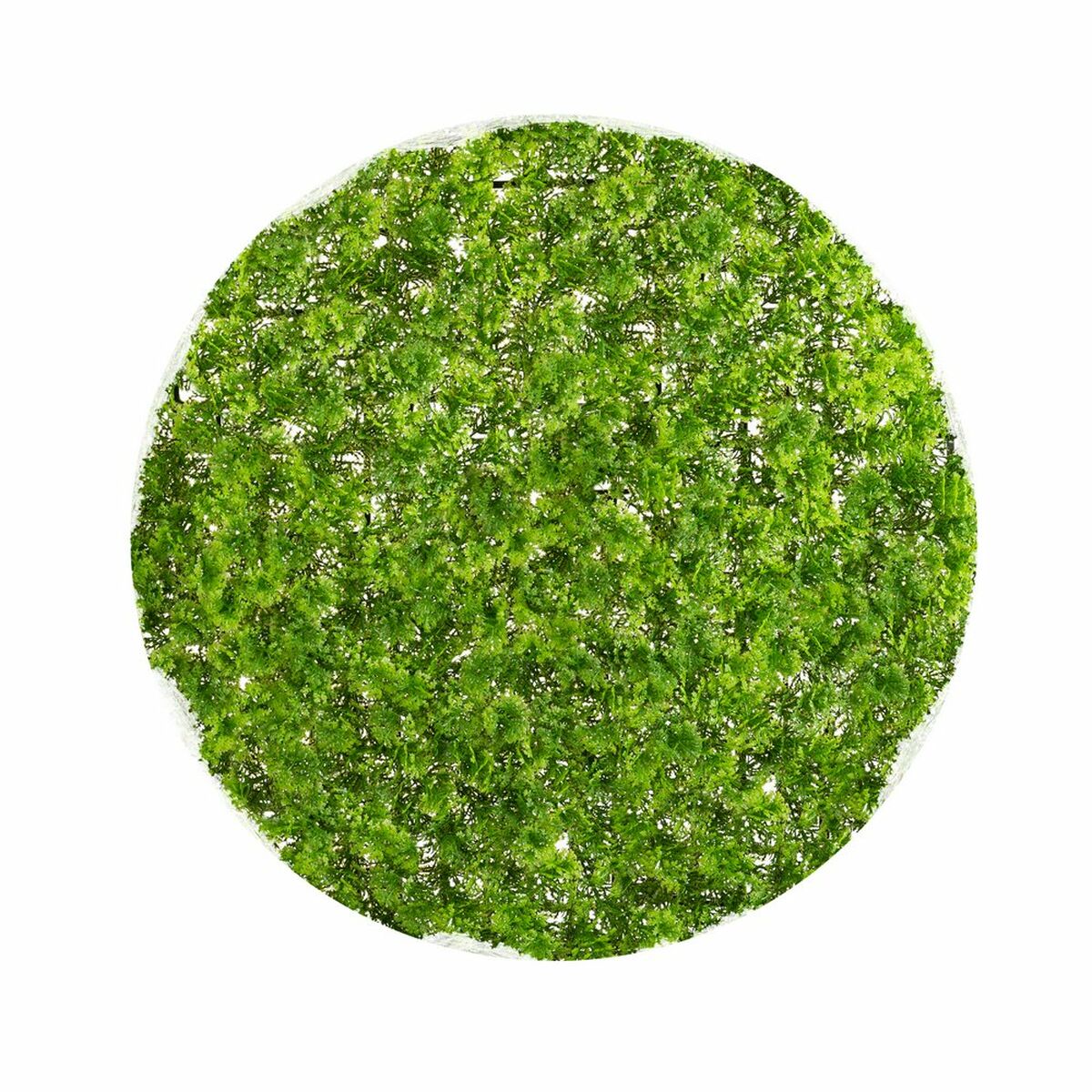 V7H229895B2AA650D82E11572E7FC76C3A1R2782377P1