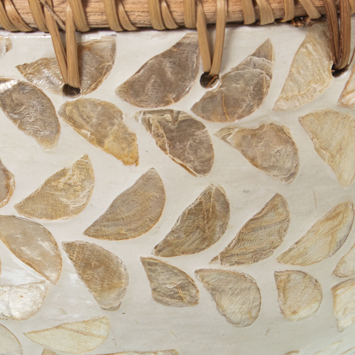 V2H2306875CD0D383FC7B9B5BD961EBAEC7R4588117P3