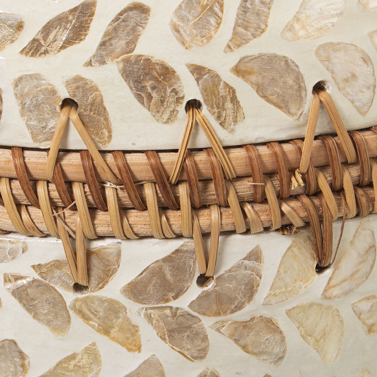 V2HD6B1AA518504E8EB29B1F24B7875C450R4588120P4