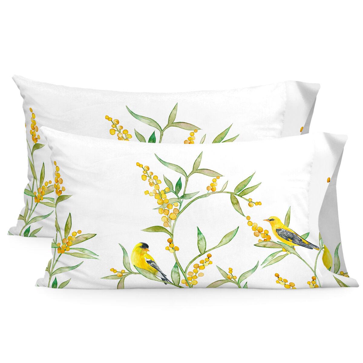 V7H14C88351117D4F96C8DB445159F9F680R5206201P1