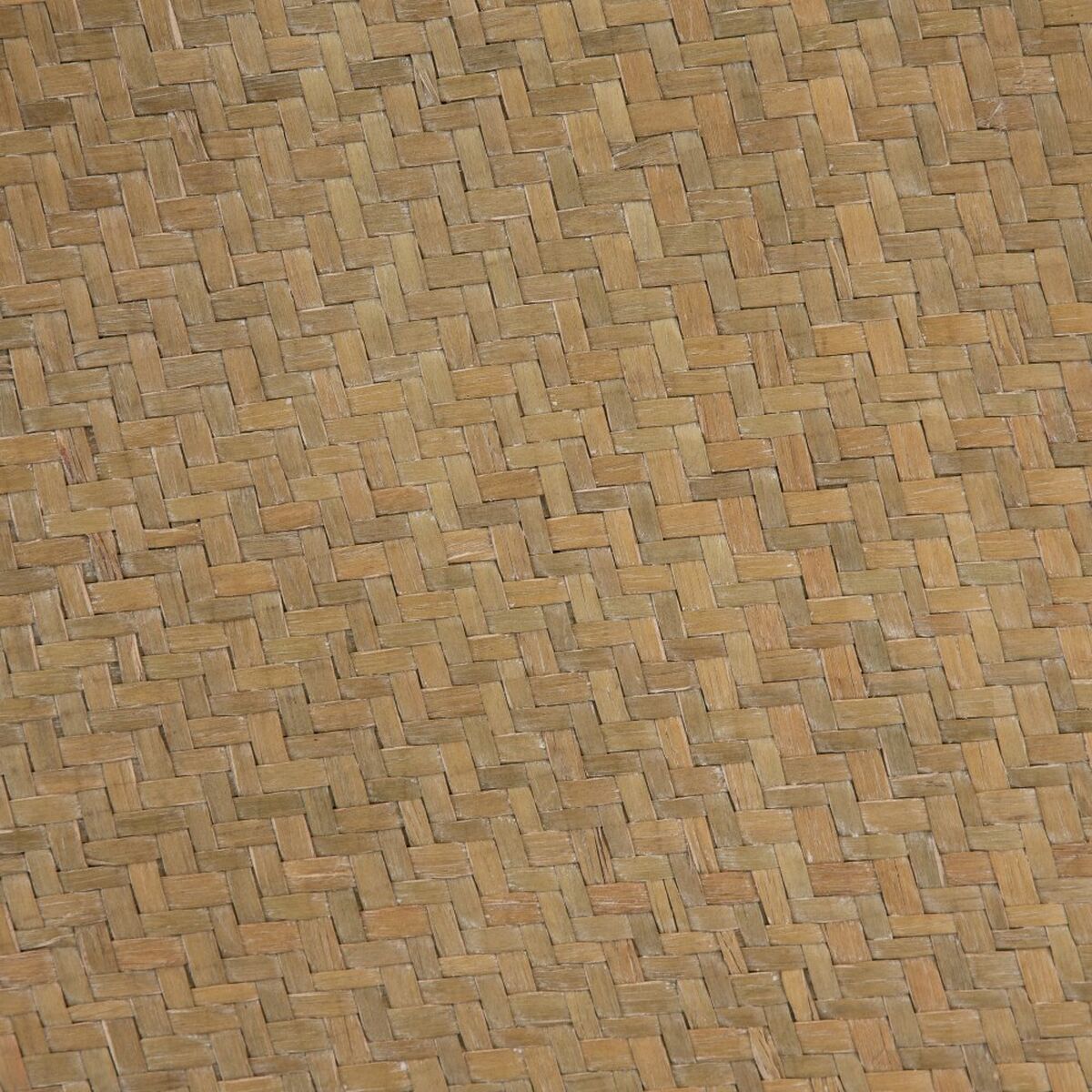 V8H46B3FDB2ECD29CBBE727B04F8BC9E677R4984266P5