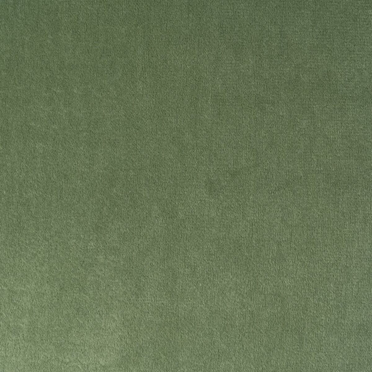 V7H21E4F7479578413BD29E482DE8131600R2480700P3
