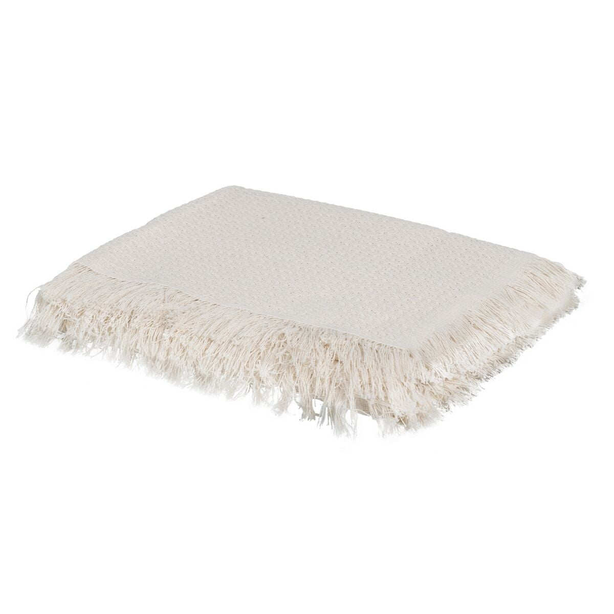 V4HC34954795414B42A04AD0E4ED1F221CCR5480444P1