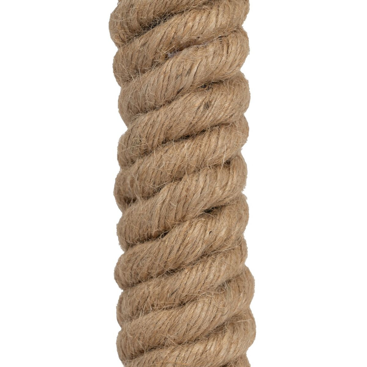 V6H94DF2055B8E6E4E5AE1F32DFC84E5731R4589104P4