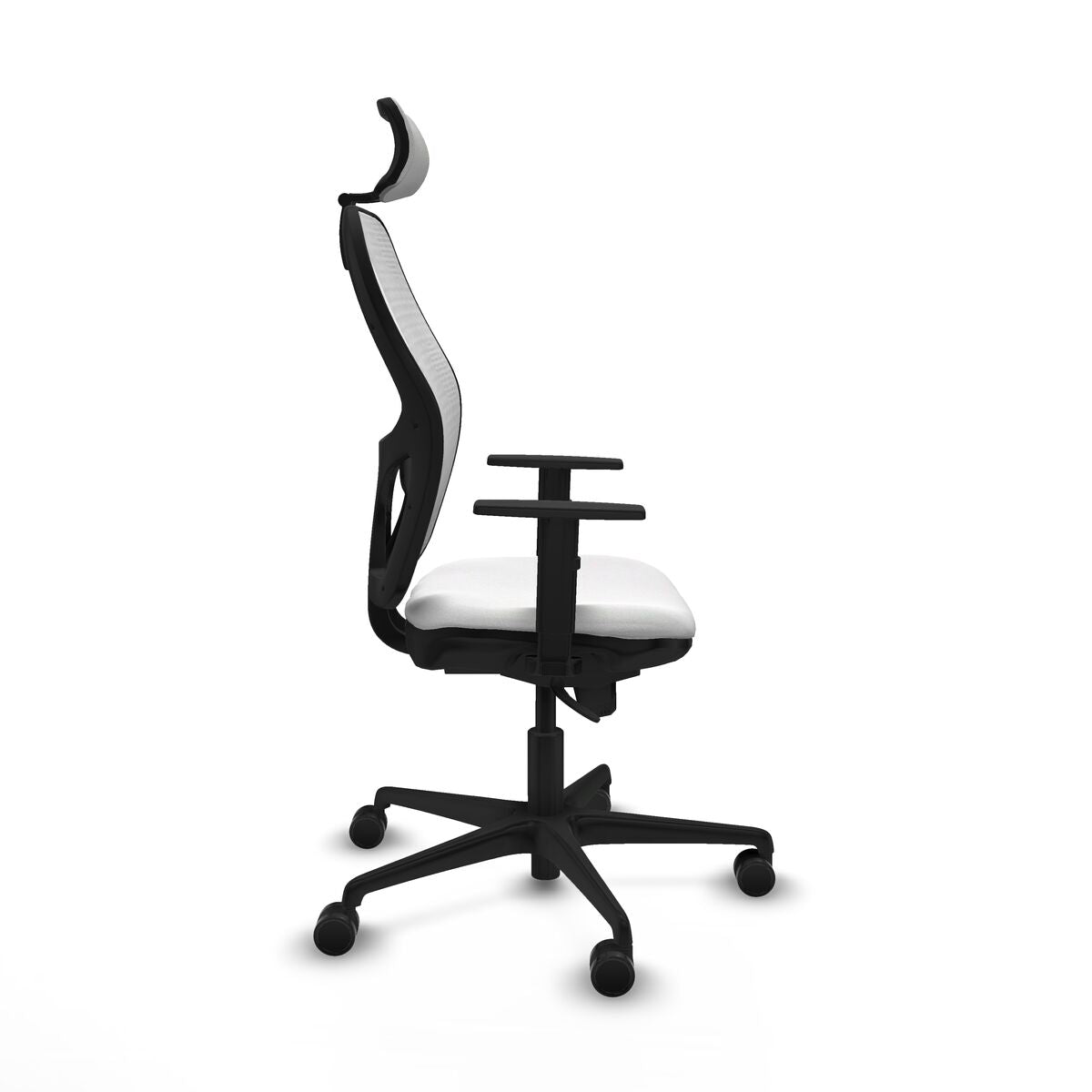 V5H0282B2B29D5A03DA8E523AD56C6B752BR6559657P7