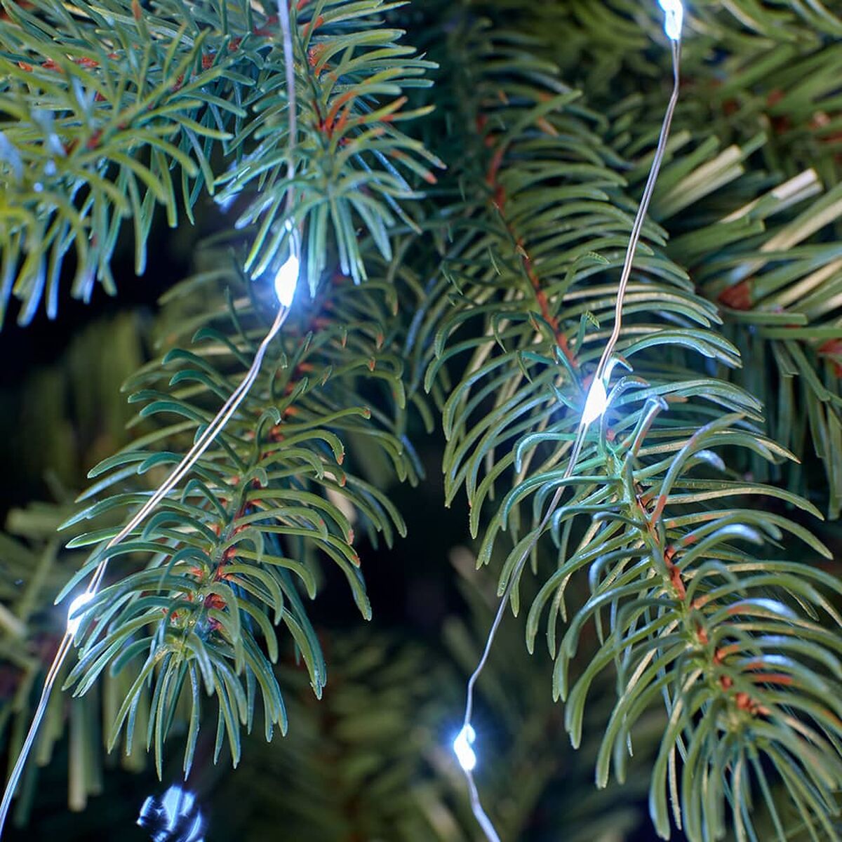 V4HEDCB2C5185A68ECF86A16CE911B94A27R6249686P4